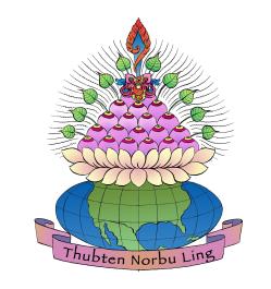 TNL Color Logo